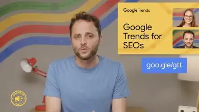 google trends