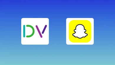 DoubleVerify اسنپ چت چیست